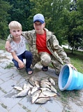 Успешная молодёжь